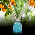 Crisp Citrus - Scent Sticks